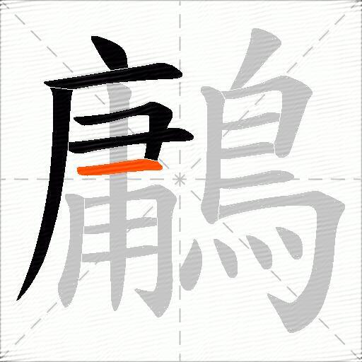 鷛
