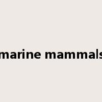 marine mammals是什么意思