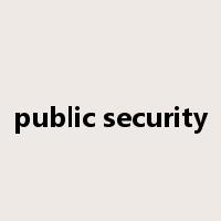 public security是什么意思