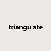 triangulate是什么意思