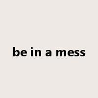 be in a mess是什么意思