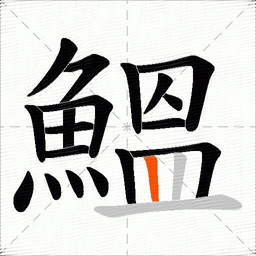 鰮