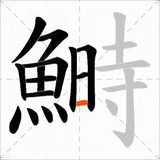 鰣