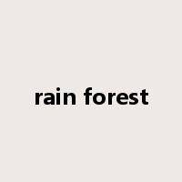 rain forest是什么意思
