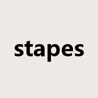stapes是什么意思