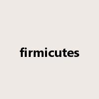 firmicutes是什么意思