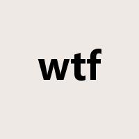 wtf是什么意思