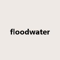 floodwater是什么意思