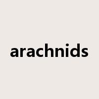 arachnids是什么意思