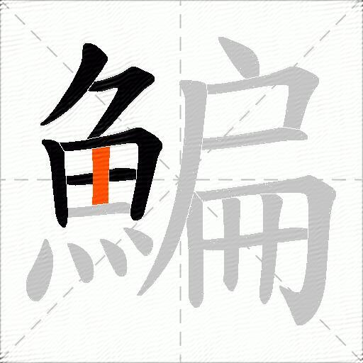 鯿