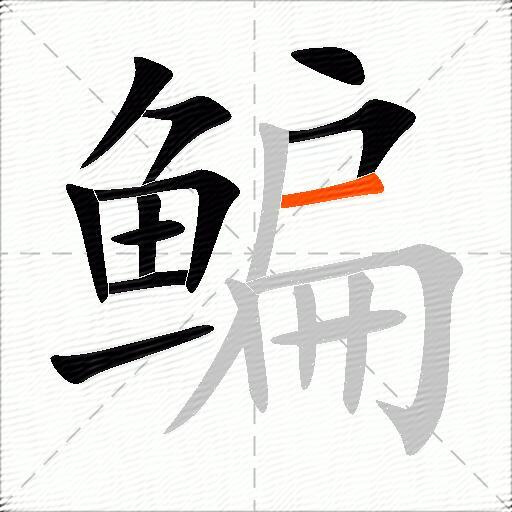 鳊