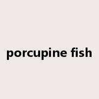 porcupine fish是什么意思