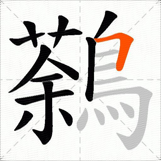 鷋