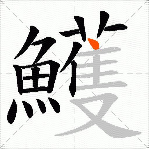 鱯