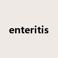 enteritis是什么意思