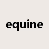 equine是什么意思