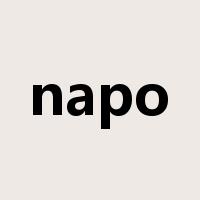 napo是什么意思