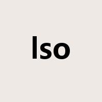 lso是什么意思