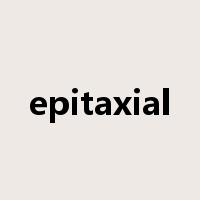 epitaxial是什么意思