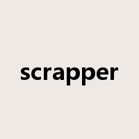 scrapper是什么意思