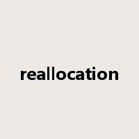 reallocation是什么意思