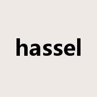 hassel是什么意思