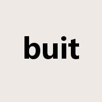 buit是什么意思
