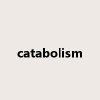 catabolism是什么意思