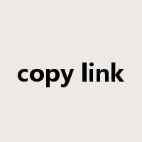 copy link是什么意思