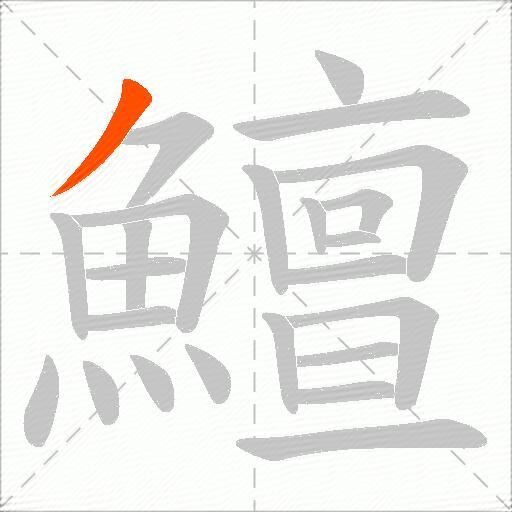 鱣