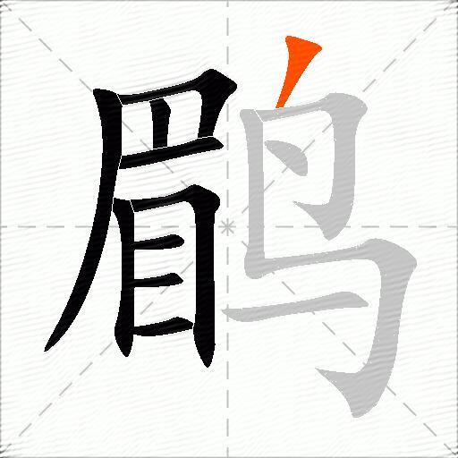 鹛