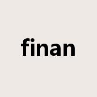 finan是什么意思