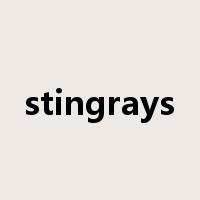 stingrays是什么意思
