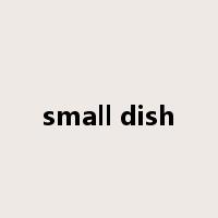 small dish是什么意思