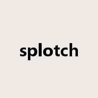 splotch是什么意思