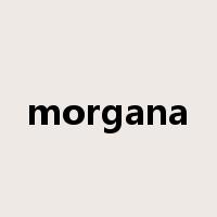 morgana是什么意思