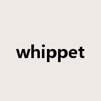 whippet是什么意思