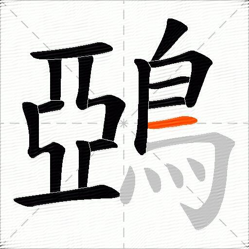 鵶