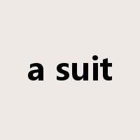 a suit是什么意思