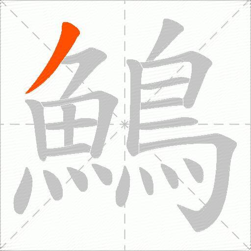 鷠
