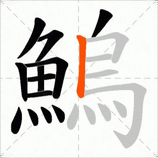 鰞