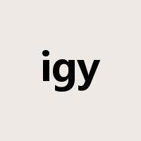igy是什么意思