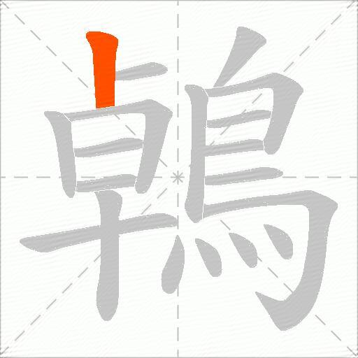鵫
