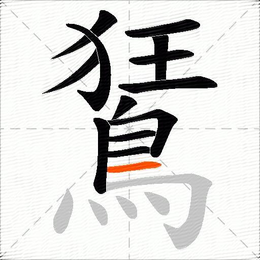 鵟