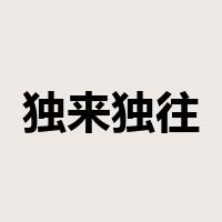 独来独往是什么意思