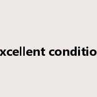 excellent condition是什么意思