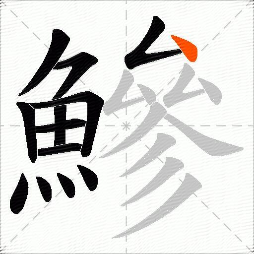 鰺