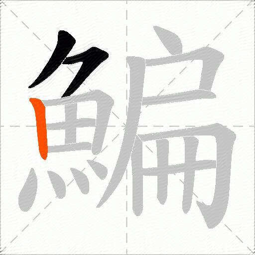 鯿
