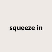 squeeze in是什么意思