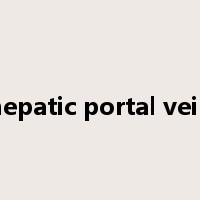 hepatic portal vein是什么意思